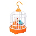 Oiseaux parlants et chantants rechargeables